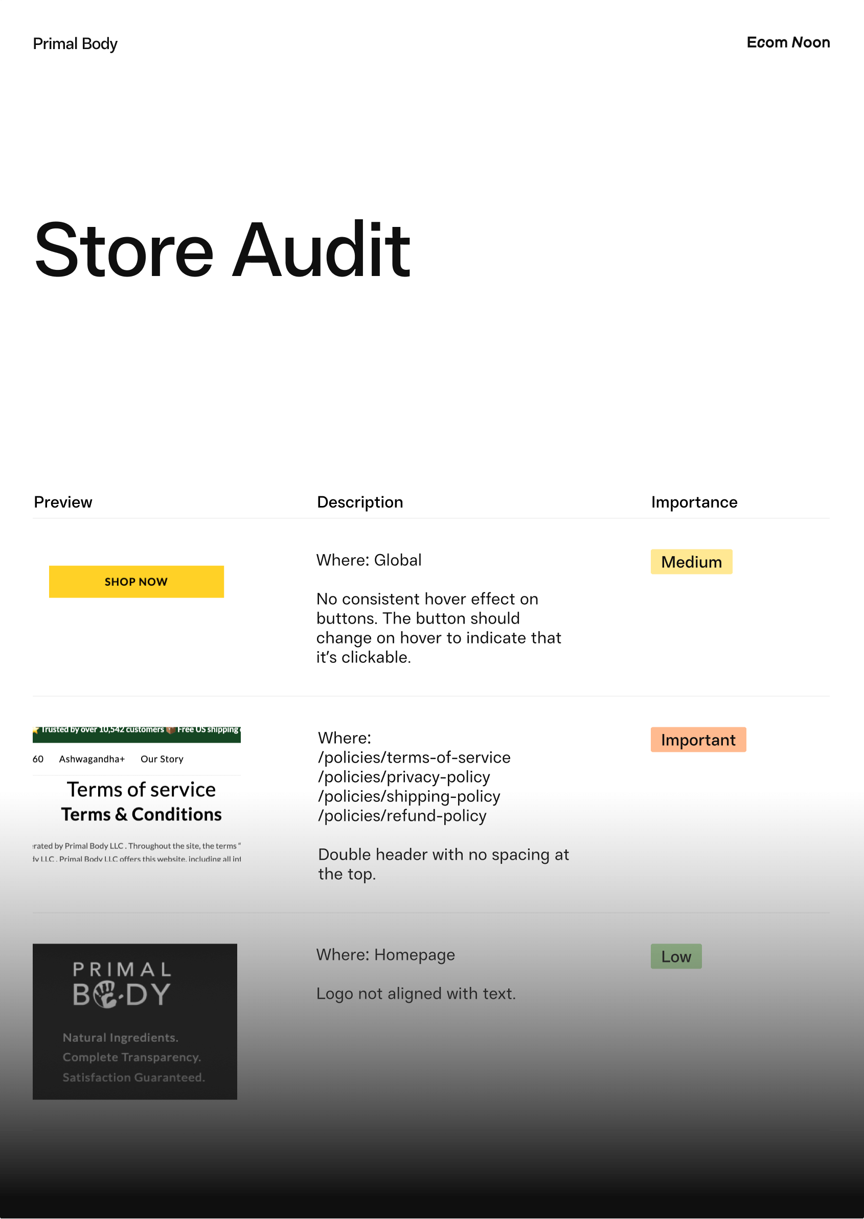 Shopify store audit example